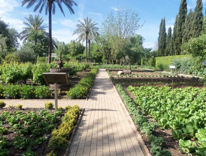 Real Jardín Botánico de Córdoba, Spain